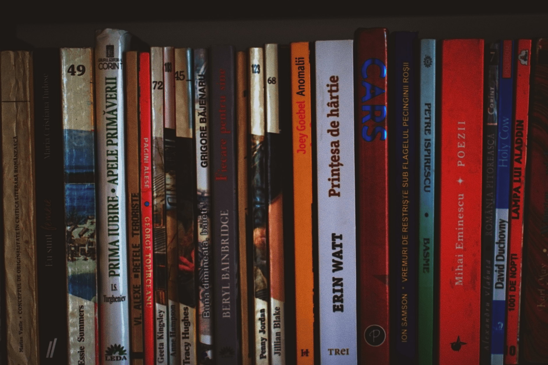 The Single Point of Failure: Navigating Risk, Volume, and Human Craft in Modern Publishing